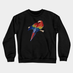 Scarlet Macaw Perched On A Branch Illustration Crewneck Sweatshirt
